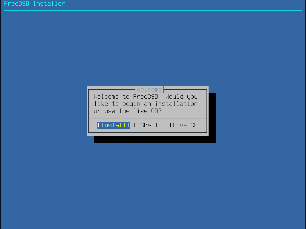 bsdinstall choose mode