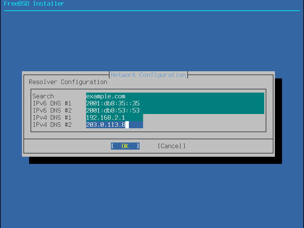 bsdinstall configure network ipv4 dns