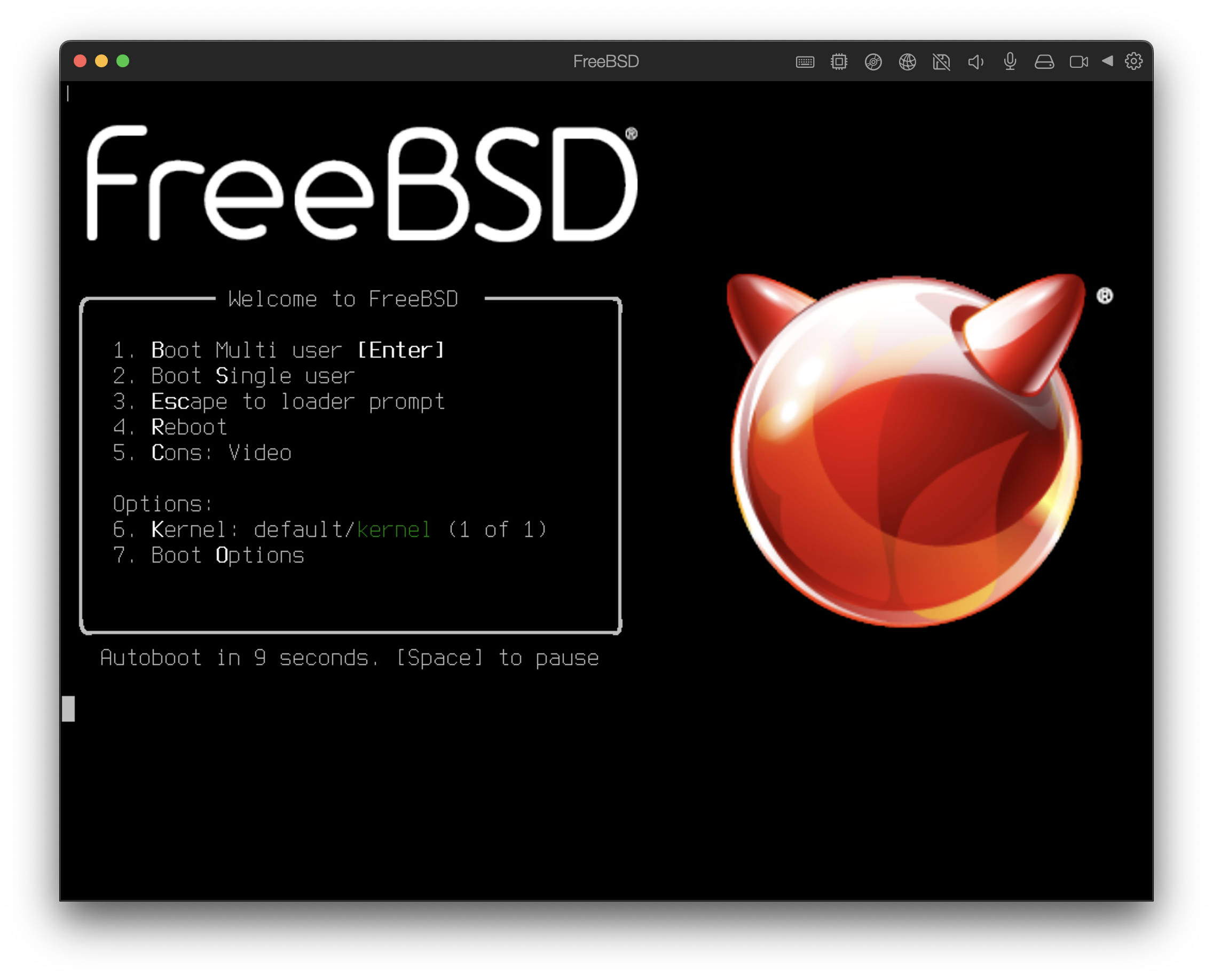 FreeBSD загружена в Parallels